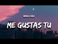 Me Gustas Tu (Letra/Lyrics) - Manu Chao