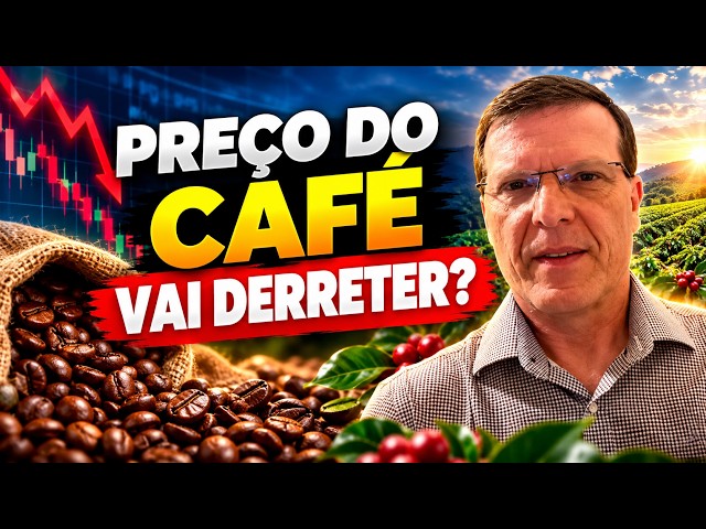 PREÇO DO CAFÉ VAI DERRETER? Floradas 2027 e armazéns lotados pressionam – Haroldo Bonfá comenta.