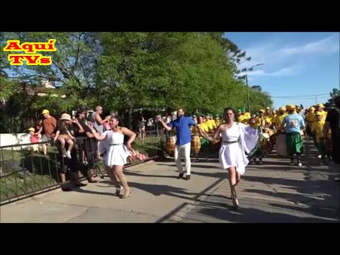 CONTUMANCIA  1/11/2025