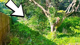Angry Neighbor demands SHE clean up yard despite HEART ATTACK and Open Heart Surgery