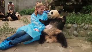 10 Cute Animals That Are Actually Deadly