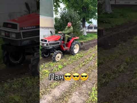 ВИДИ ЛЮДЕЙ НА ЗБОРІ КАРТОПЛІ🥔🚜#агро#картопля