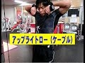 アップライトロー（ケーブル）【糸井トレーナー】