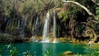 ll  Surha Ar.Rahman relaxation video of waterfall for deep sleep,stress,peace of mind ll