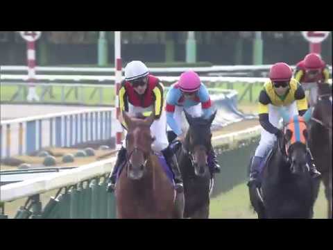 2019 Queen Elizabeth II Cup (G1)