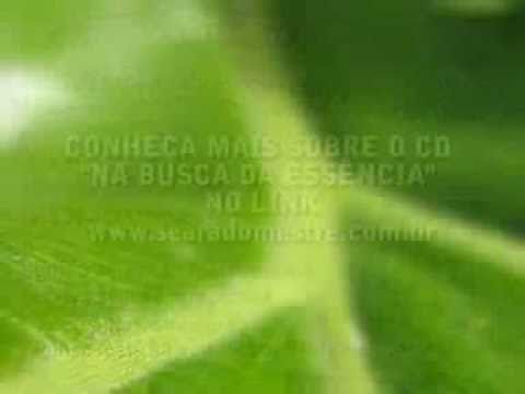 Na Busca Da Tolerância video