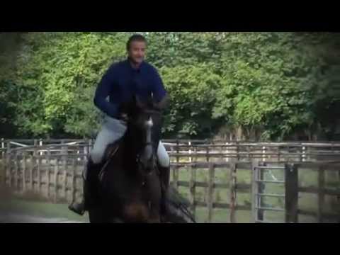 Portrait Diamant de Semilly