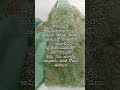 Daughterinlaw Motherinlaw Sisterinlaw Lifequotesintelugu