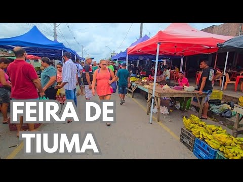 TIUMA MUNICÍPIO DE SÃO LOURENÇO DA MATA PERNAMBUCO 