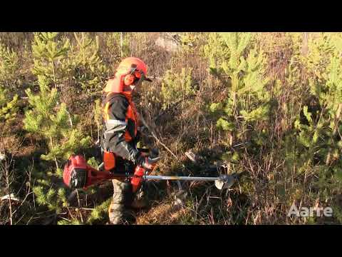 Aarre 2021 | Raivaamisessa tärkeintä on ajoitus