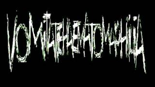 Vomitatiehaematomaphilia -  Repugnant Stagnation Of Reeking Stench (Full Album)