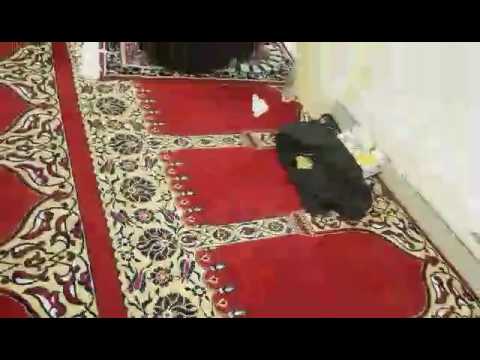 MUEZINI ME ZË TË BUKUR NË XHAMIN E THUNIT-JAKUP SELAMI