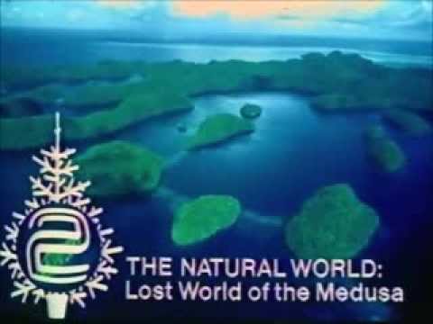 BBC2 Continuity Junction Monday 10th December 1984