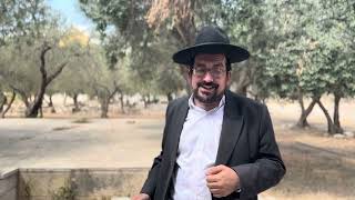 אכילה בהר-הבית | הרב אליהו ובר (ישיבת הר הבית) - התמונה מוצגת ישירות מתוך אתר האינטרנט יוטיוב. זכויות היוצרים בתמונה שייכות ליוצרה. קישור קרדיט למקור התוכן נמצא בתוך דף הסרטון אכילה בהר-הבית | הרב אליהו ובר (ישיבת הר הבית) - התמונה מוצגת ישירות מתוך אתר האינטרנט יוטיוב. זכויות היוצרים בתמונה שייכות ליוצרה. קישור קרדיט למקור התוכן נמצא בתוך דף הסרטון