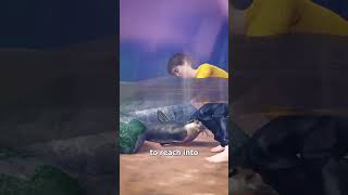 How To Noodle A Catfish 😮