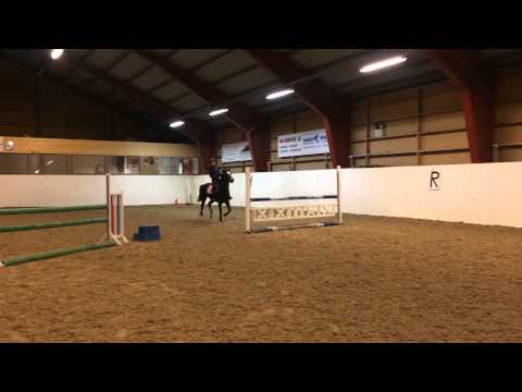 1,05 m Langklopps Ariel 12.11.2015 Jon Harald Gulliksen trening