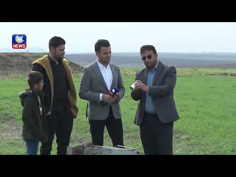 بەڤیدیۆ.. خەریکە دزینی محاویلە لە سنوری گوندەکانی بەردەڕەش دەبێتە دیاردە