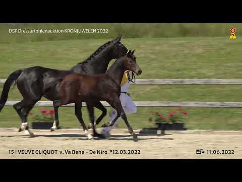 KN 15: Stutfohlen v. Va Bene/De Niro