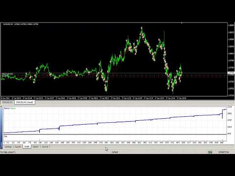 Video Stubborn Spider