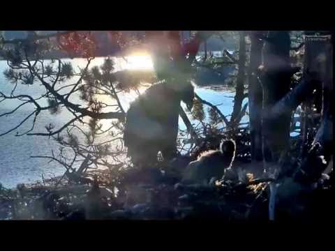 Norway WTE 6-14-16 6am "Mom Leaves"