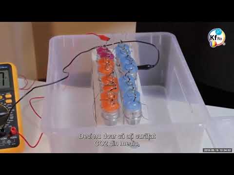 2019 05 19 PM Public Teaching in Romanian - Cursuri publice în română