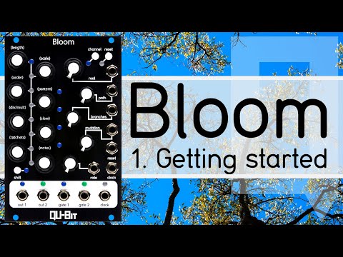 Tutorial 1 de Bloom: ¡Comenzando!