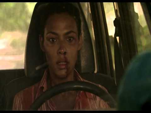 LA NOCHE DE LOS GIRASOLES