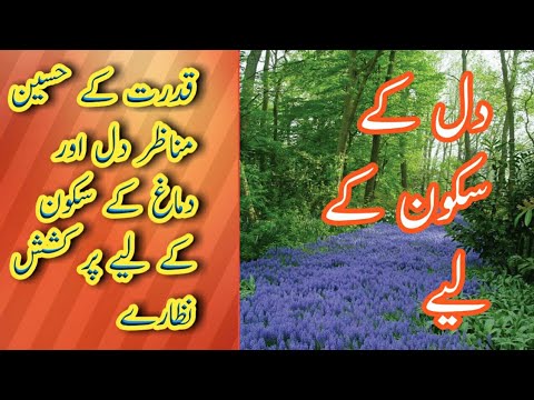 Natural Beauty | Gulzar Views |