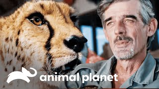 Thumbnail del capítulo