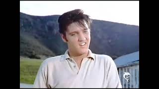 Hey Elvis Bryan Adams Brian Setzer