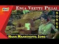 Naan Maanthoppil Song MGR Saroja Devi Enga Veettu Pillai Movie RajTV
