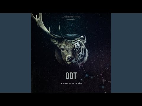 Sale T (feat. D'oz Kroniker & Robust)