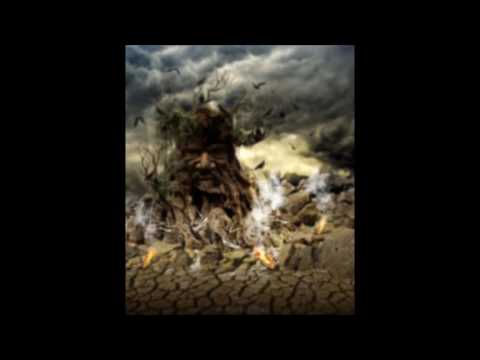 Wider & Wishi & Propagul - Old Tree Talks