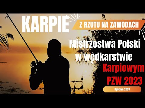 Karpie z rzutu na zawodach - Mistrzostwa Polski w wędkarstwie karpiowym PZW 2023r. Dębowa Vlog #017