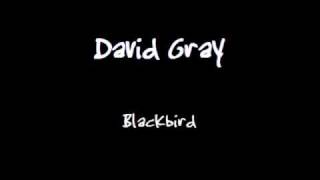 David Gray - Blackbird (Rare Beatles Cover)