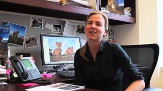 Panthera - Case Study