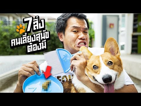 พฤติกรรมของสาว ๆ เมื่อเธอรู้สึกตื่นเต้น ตัวแทนหญิงเจลครีม