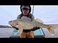 We are FINALLY Catching Walleye in the BOAT! (Rainy River)