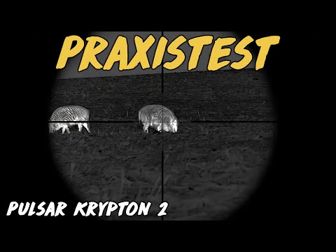 Praxistest - Pulsar Krypton 2