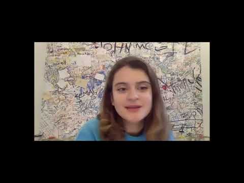 Saving the Amazon: faults and wins of the anti-deforestation action | Raoni Rajão | TEDxArchivorum