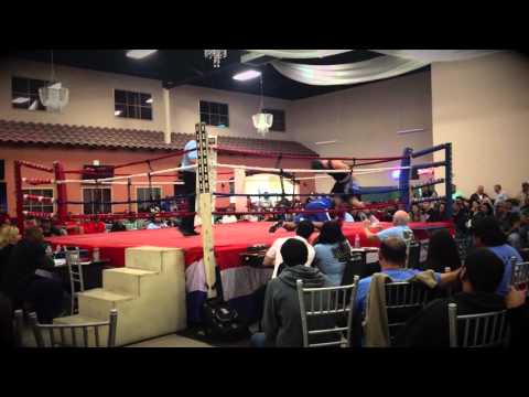 Mark B Golden Gloves  2016