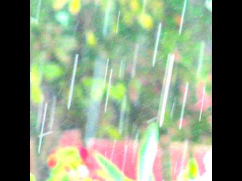 Eddie Hale - Reflections of Light in the Rain