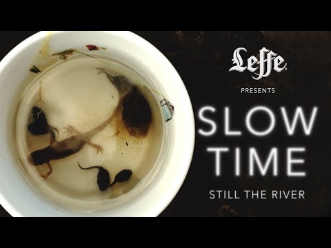 Leffe presents: SLOW TIME - Still The River