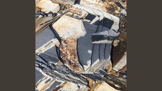 Cover art for Slumber