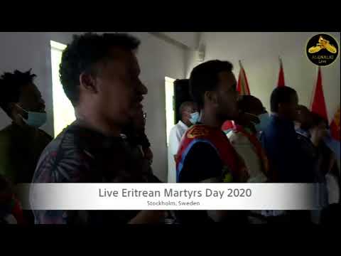 Tv Dimtzi Eritrawian, Stockholm Live Stream