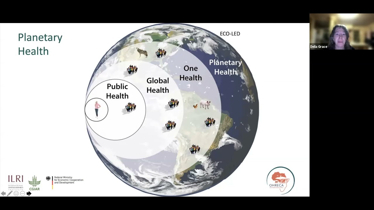 An overview of One Health, Eco Health and Planetary Health