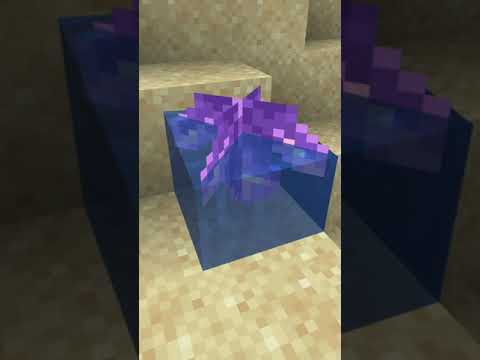 Crazy Cursed Amethyst in Minecraft