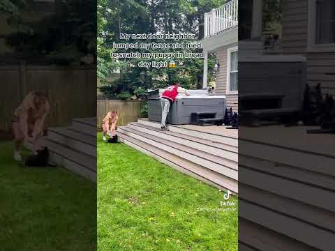 My Neighbor Trying To Steal My Puppy
