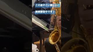 Download lagu 〈絶賛練習中〉すごい難しい曲…#shorts #吹いてみた #saxophone #piano #ピアソラ #練習中 mp3 Download lagu 〈絶賛練習中〉すごい難しい曲…#shorts #吹いてみた #saxophone #piano #ピアソラ #練習中 mp3