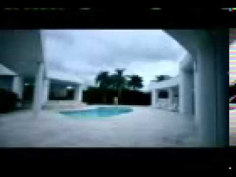 VECTOR-STAY SCHEMING-VIDEO